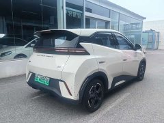 BYD Seagull Glory Edition 405km Flying Edition - ფოტო 4