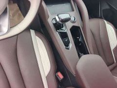 Geely Xingyue L 2.0TD DCT EVO FWD Luxury - ფოტო 8