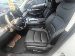 Geely Xingui Xingrui 2021 2.0T Diesel Premium Edition - ფოტო 3