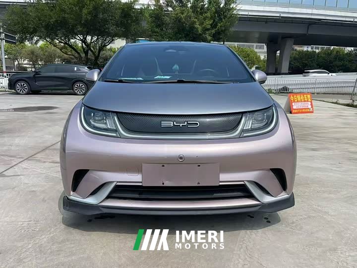 BYD Dolphin 401km Knight Edition - ავტომობილი ჩინეთიდან