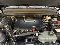 Tank 300 2.0T Challenger - ფოტო 16
