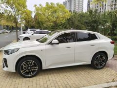 BMW X2 (Imported) sDrive25i M Sport Package - ფოტო 3
