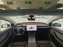 Tesla Model Y Rear-Wheel Drive - ფოტო 12
