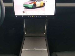 Tesla Model Y Rear-Wheel Drive - ფოტო 13