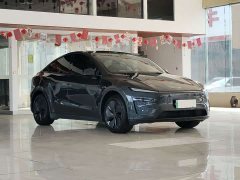 Tesla Model Y Rear-Wheel Drive - ფოტო 3