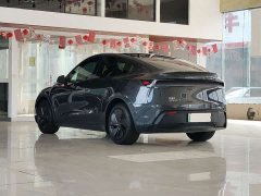 Tesla Model Y Rear-Wheel Drive - ფოტო 6