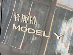 Tesla Model Y Rear-Wheel Drive - ფოტო 9