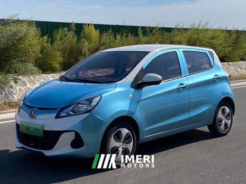 2021 Changan Benben E-Star National Edition Joyful Version (Fast Charging) LFP (31.95kWh) - ავტომობილი ჩინეთიდან
