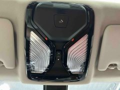 BMW 3 Series 320Li M Sport Package - ფოტო 15