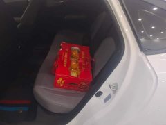 Changan Qiyuan A05 Classic Fragrant Edition 70 Superior - ფოტო 11
