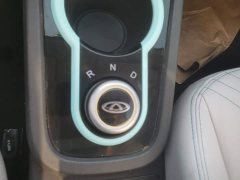 Chery Xiaomǎyǐ 200,000 Ant 20 Wan Ant Fan Yuan Qi Edition Ternary Lithium 301km - ფოტო 16