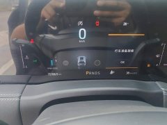Ford Golden Edge PLUS EcoBoost 245 FWD Premium 7-Seater - ფოტო 14