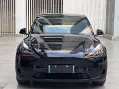 Tesla Model Y 2023 Rear-Wheel Drive - ფოტო 2