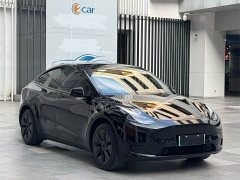 Tesla Model Y 2023 Rear-Wheel Drive - ფოტო 3