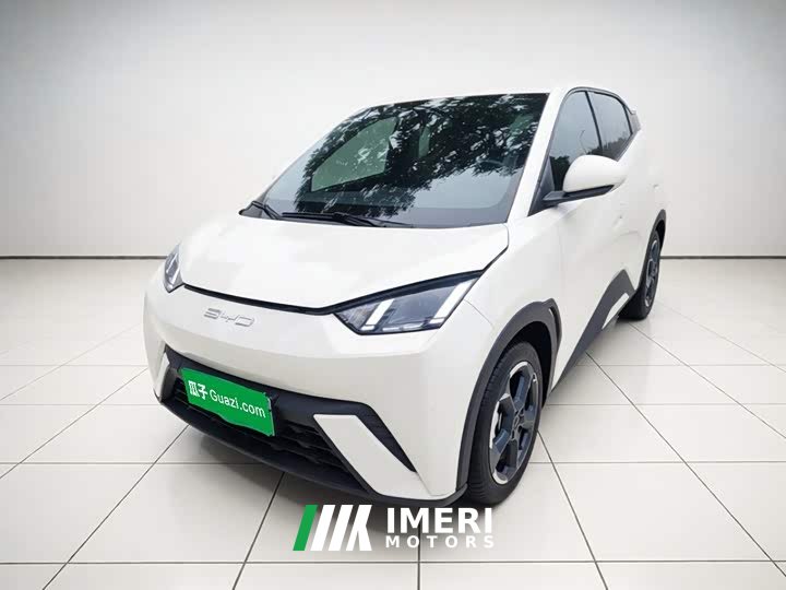 BYD Seagull Freedom Edition - ავტომობილი ჩინეთიდან