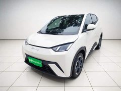 BYD Seagull Freedom Edition - ფოტო 1