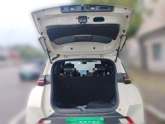 BYD Seagull Freedom Edition - ფოტო 15