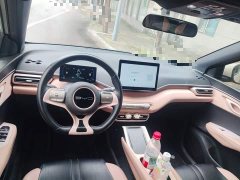 BYD Seagull Freedom Edition - ფოტო 5