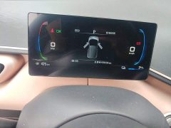 BYD Seagull Freedom Edition - ფოტო 8