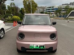 Geely Panda Mini 200km Endurance Edition - ფოტო 1