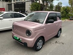 Geely Panda Mini 200km Endurance Edition - ფოტო 2