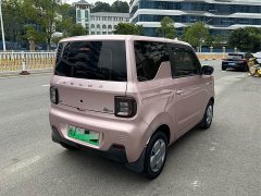 Geely Panda Mini 200km Endurance Edition - ფოტო 5