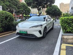 BYD Dolphin 07 DM-i 1.5T 230km Flagship - ფოტო 1