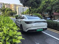 BYD Dolphin 07 DM-i 1.5T 230km Flagship - ფოტო 9