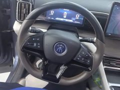 BYD Song Pro New Energy Champion Edition DM-i 110KM Excellence - ფოტო 15