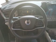 Denza BYD Denza D9 DM-i 1050 Premium - ფოტო 15