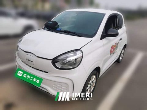 2022 BYD Clever 311km Vitality Pop Edition - ავტომობილი ჩინეთიდან