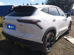 Jetour Jietu Dasheng 1.5T DCT Youth Edition - ფოტო 3