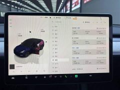 Tesla Model Y 2023 Rear-Wheel Drive - ფოტო 12