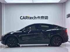 Tesla Model Y 2023 Rear-Wheel Drive - ფოტო 4