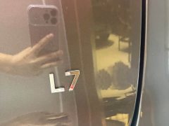 Li Auto L7 MAX - ფოტო 11