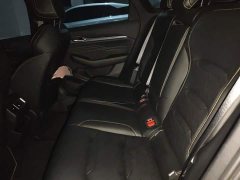 Geely Xingui Xingrui 2023 1.5T Diesel Fuyao Edition - ფოტო 18