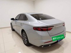 Geely Xingui Xingrui 2023 1.5T Diesel Fuyao Edition - ფოტო 4