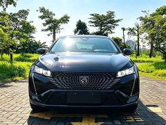Peugeot 408X Boundless Edition - ფოტო 5