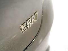 Luxeed Zhiji R7 2024 Pure Electric 736km Ultra - ფოტო 18