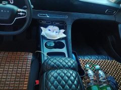 SAIC MG D7 2023 DMH 125km Excellence Edition - ფოტო 16