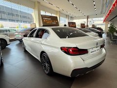 BMW 5 Series 530Li Premier M Sport Package - ფოტო 10