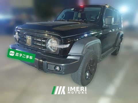2021 Tank 300 Off-Road Edition 2.0T Challenger - ავტომობილი ჩინეთიდან
