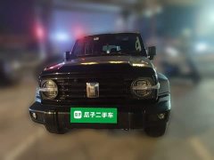 Tank 300 Off-Road Edition 2.0T Challenger - ფოტო 2