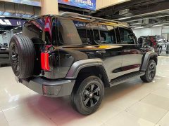 Tank 300 2.0T Gasoline Challenger - ფოტო 6
