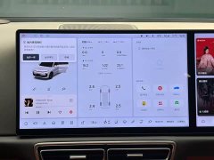 Li Auto L6 Pro - ფოტო 11