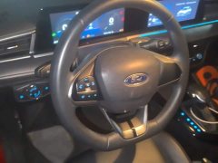 Ford Forester 1.5L Automatic Fiesta 1.5L Automatic Diamond Edition - ფოტო 15