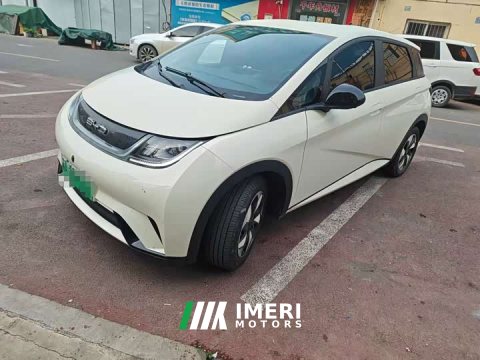 2025 BYD Dolphin Smart Drive 420km Freedom Edition - ავტომობილი ჩინეთიდან