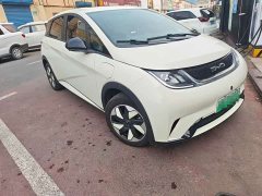 BYD Dolphin Smart Drive 420km Freedom Edition - ფოტო 2