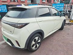 BYD Dolphin Smart Drive 420km Freedom Edition - ფოტო 4