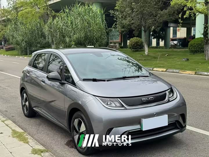 BYD Dolphin 420km Fashion Edition